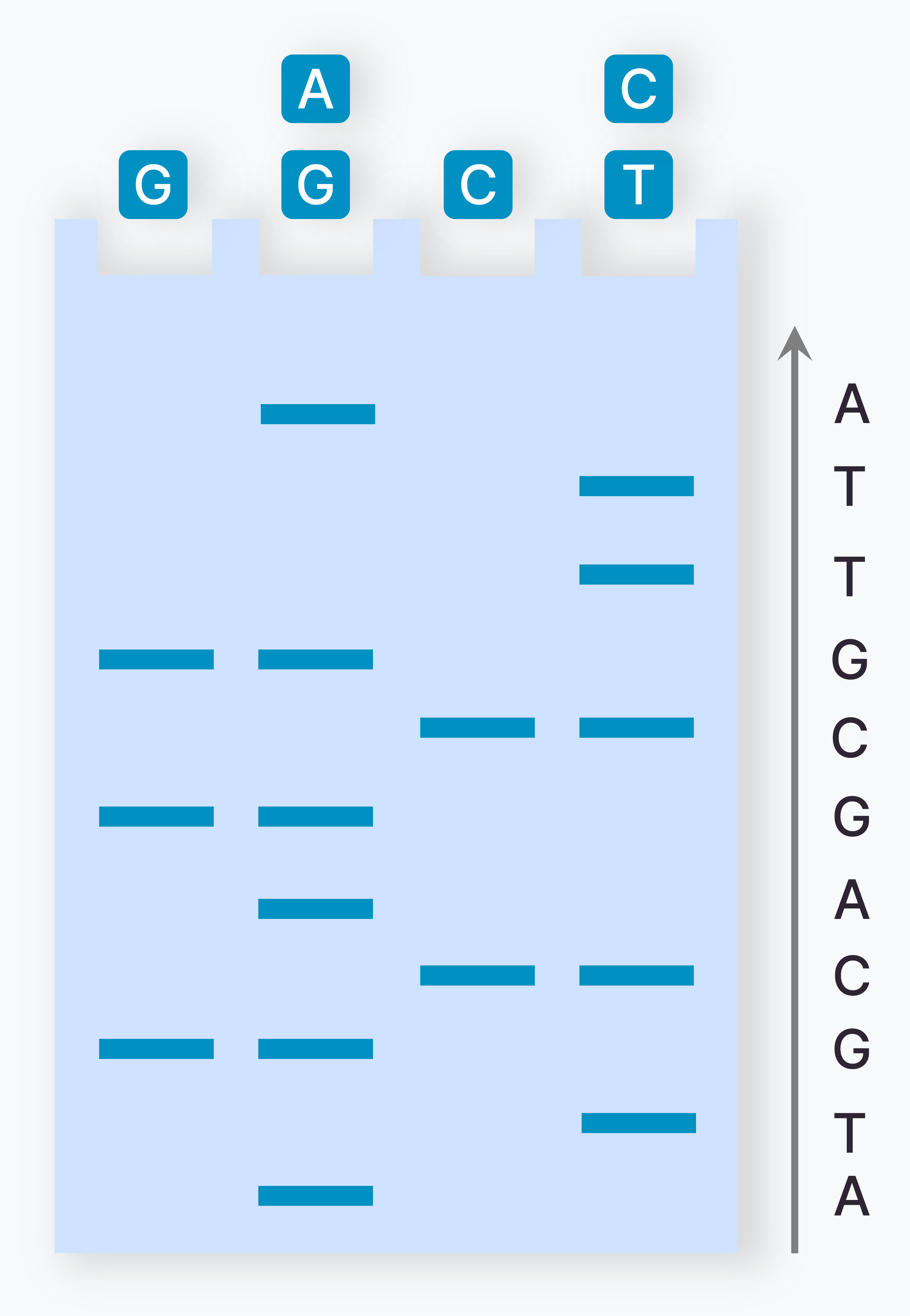 Chemical Degradation Method